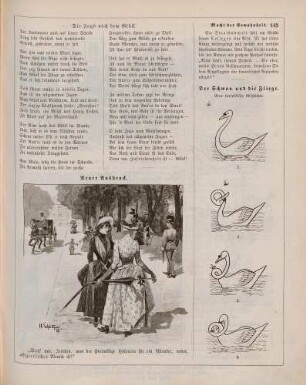 "Neuer Ausdruck" "Der Schwan und die Fliege"