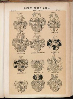 Taf. 432. Sochacki. - Sode. - Soden. - Sodenstern. - Sokolnicki. - Sokolowski. - Solemacher. - Sommer v. Schulenburg. - Sommerfeld I. - Sommerfeld II. - Sommerfeld III. - Sommerlatt
