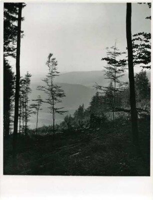Böhmerwald, Tschechien, Böhmen und Mähren