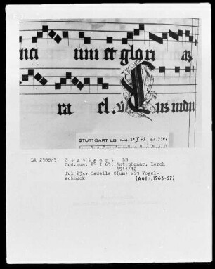 Antiphonarium (Benediktinerhandschrift) — Cadelle C (um) mit Vögeln, Folio 234 verso
