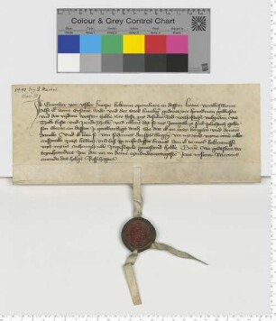 Der Knappe Gunther van Ussler, Hauptmann der Stadt gewesen "und dat rijdent vorstan hebbe", erklärt seine Ansprüche an Sold, Kost, Pferdeschaden für erfüllt.
