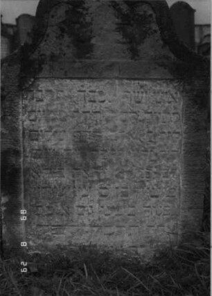 Grabstein 120 (Index: 100107355) Material: gelber Sandstein Zustand: stark verwittert, versalzen, bewachsen Maße HxBxT: 105x68x13 cm Beschreibung: Stele, Abschluß in drei Bögen, konkav eingezogen, Schriftfeld rechteckig eingezogen: Grabstein 120A