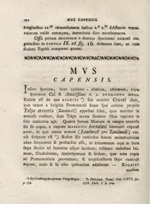 MVS CAPENSIS