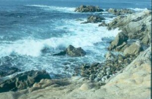 Monterey. "Waterfront" der Cannery Row mit zerklüfteten Klippen