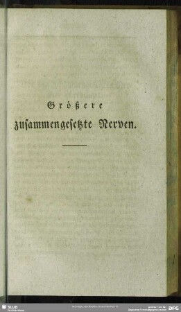 Größere zusammengesetzte Nerven