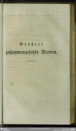 Größere zusammengesetzte Nerven