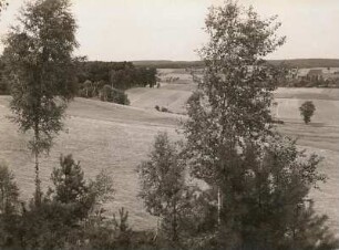 Dahlener Heide