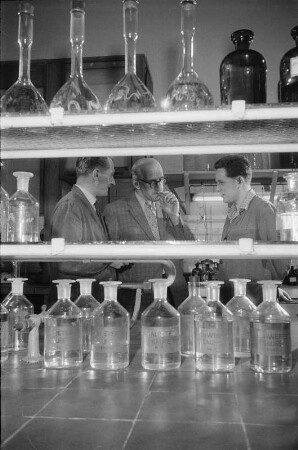 Phosphor Forschung: Magnesium : Bitterfeld. VEB Elektrochemisches Kombinat Bitterfeld.