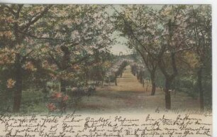 Postkarte, Potsdam