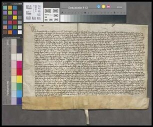 Dalsheim: Bestandbrief über Güter des Wormser Martinsstifts zu Dalsheim