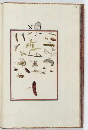 Tafel XLII