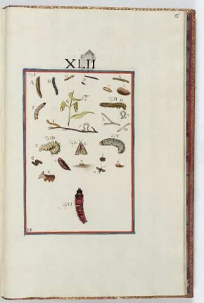 Tafel XLII