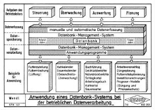 Anwendung eines Datenbank-Systems bei der betrieblichen Datenverarbeitung