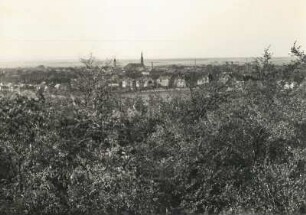 Großenhain, Blick auf die Stadt vom Kupferberg