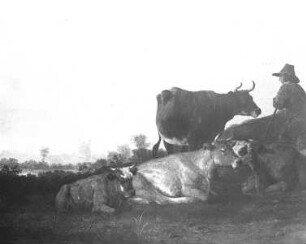 Weidende Rinder