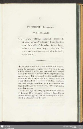 Productus humerosus. Tab. CCCXXII