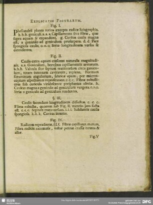 Explicatio Figurarum