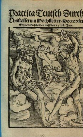 Practica Teutsch : Beschriben auff das 1528. Jare