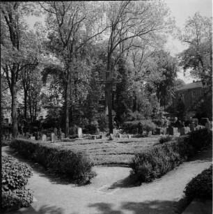 Altplauen