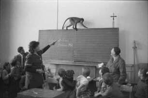 Gastspiel des "Renz reisender Schul-Zoo" in Karlsruher Schulen.