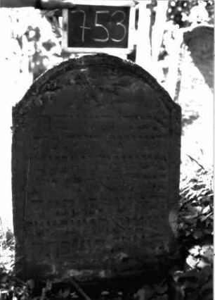 Grabstein 753 (Index: 100104745) Material: Sandstein Zustand: leicht verwittert, eingesunken Maße HxBxT: 94x62x9 cm Beschreibung: Stele, Konvexbogenabschluss, Schriftfeld eingetieft: Grabstein 753