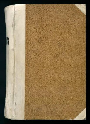 Bd. 205: Konsilien 1808, Allgemeines