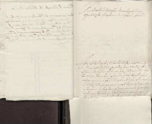 Joseph Clemens Pecher an Karoline Luise von Baden (Steinbach)