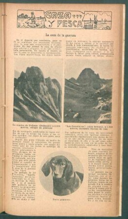 La caza de la gamuza : Caza y pesca