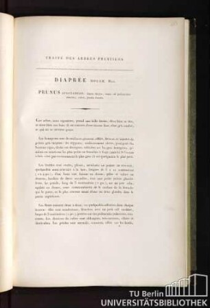 Traité des arbres fruitiers. Diaprée rouge. Duh. Prunus spectabilis, fructu magno, ovato, ad pedunculum coarctato, rubro, punctis fuscato.