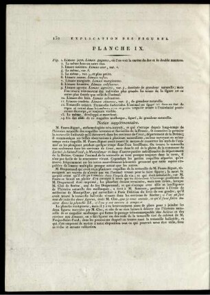 Explication des Figures. Planche IX.