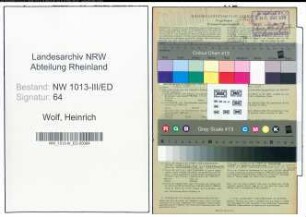 Entnazifizierung Heinrich Wolf , geb. 05.01.1900 (Lehrer)