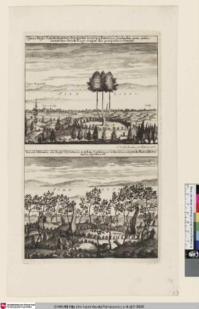 Suecia Antiqua et Hodierna; oben: [Dreikroniger Baum am See]; unten: [Tumulus an einem See]