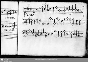 Adrian Willaert: Petite camusete