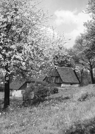 Schönfeld. Ehemailge wassermühle "Bockmühle" (1786/1800)