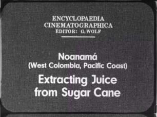 Noanamá (West Colombia, Pacific Coast) - Extracting Juice from Sugar Cane