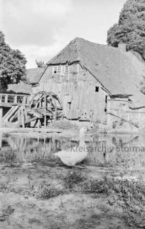 Grander Mühle mit Nebengebäuden: verfallenenes Gebäude und beschädigtes Mühlrad: links Holzbrücke: vorn Mühlenteich: davor Gans auf Böschung: hinten Bäume