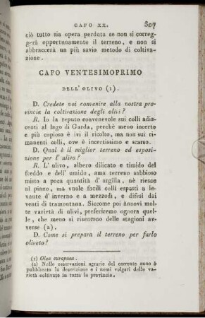 Capo Ventesimoprimo. Dell' Olivo (I).
