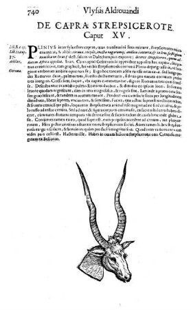 De Capra Strepsicerote. Cap. XV.