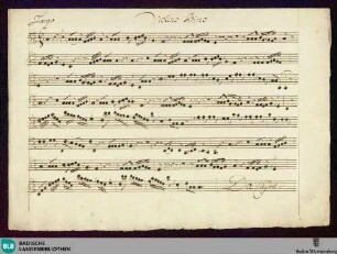 Concertos - Mus. Hs. 1070 : fl (2), vl (2), a-vla, b; D; GroF 885