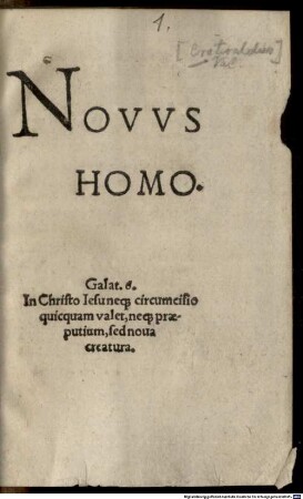 Novvs homo