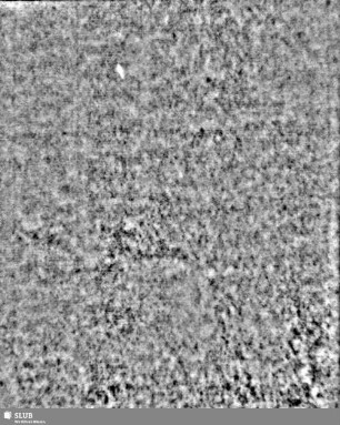 Lilienschild + Buchstaben IESV / Buchstaben LW = S.105/106
