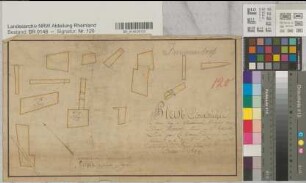 Plan géométrique des terres à Prummeren 1806 (Immendorf) Parzellenpläne