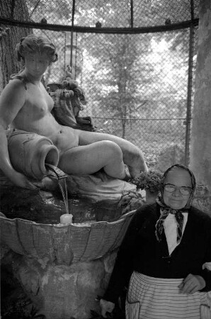 Wien : In Wien, Der schöne Brunnen, Schönbrunn