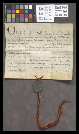 Mainz (Franziskaner): Bulle des Papstes Gregor IX., die Minoriten betreffend