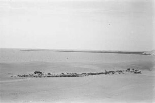 Panorama der Haffküste in Nida : Panorama der Haffküste in Nida von der Wanderdüne aus.