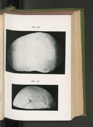 Fig. 109. Fig. 110.
