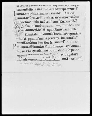 Sequentiar, Graduale und Sakramentar — ---, Folio 177versoBuchseite