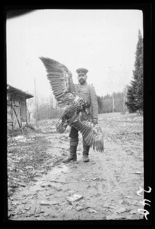 bei Bialowiesk (?) (=Bia³owie¿a, Polen): Offizier mit Bart und Schirmmütze mit einem an den Flügeln auseinandergehaltenen "erlegten Seeadler"