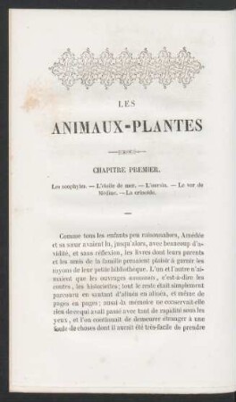 Les Animaux-Plantes