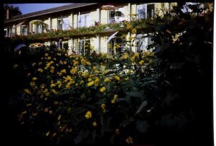 Bad Krozingen: Park Sanatorium, Dr. Bader, Ausschnitte mit Blumen